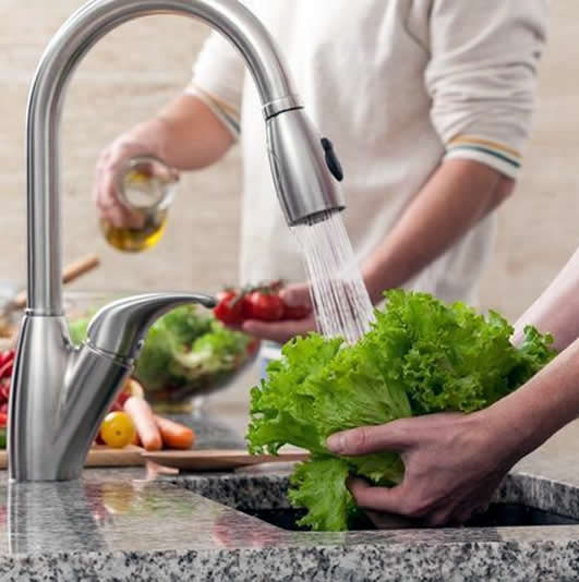Manipulacion alimentos